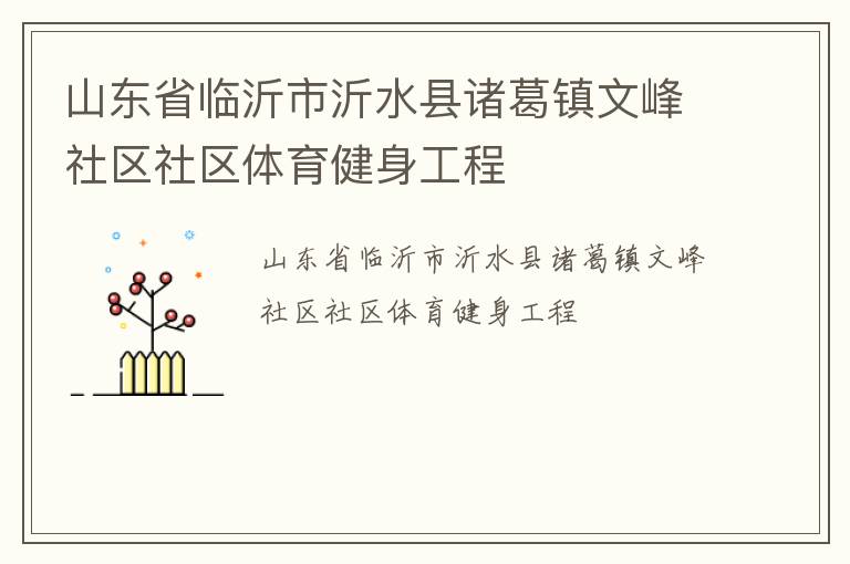 山東省臨沂市沂水縣諸葛鎮(zhèn)文峰社區(qū)社區(qū)體育健身工程