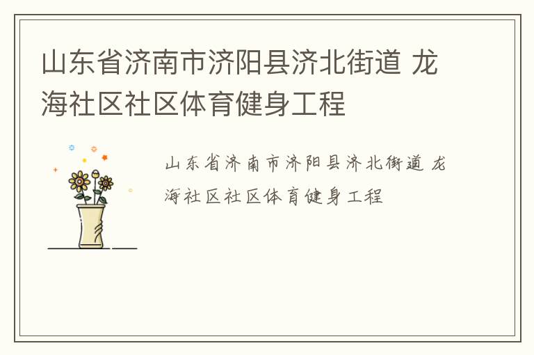 山東省濟(jì)南市濟(jì)陽縣濟(jì)北街道 龍海社區(qū)社區(qū)體育健身工程