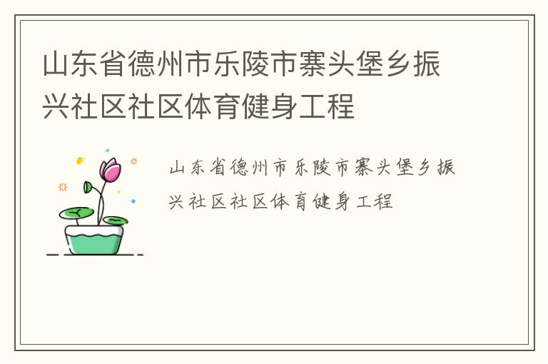 山東省德州市樂陵市寨頭堡鄉(xiāng)振興社區(qū)社區(qū)體育健身工程