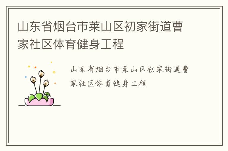 山東省煙臺市萊山區(qū)初家街道曹家社區(qū)體育健身工程