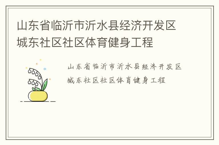 山東省臨沂市沂水縣經濟開發(fā)區(qū)城東社區(qū)社區(qū)體育健身工程