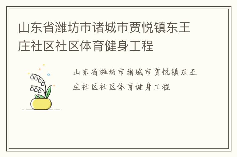山東省濰坊市諸城市賈悅鎮(zhèn)東王莊社區(qū)社區(qū)體育健身工程