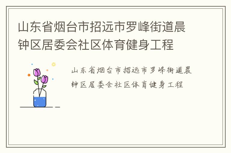 山東省煙臺(tái)市招遠(yuǎn)市羅峰街道晨鐘區(qū)居委會(huì)社區(qū)體育健身工程