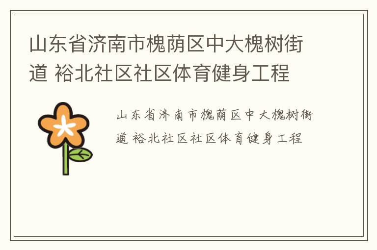 山東省濟(jì)南市槐蔭區(qū)中大槐樹街道 裕北社區(qū)社區(qū)體育健身工程