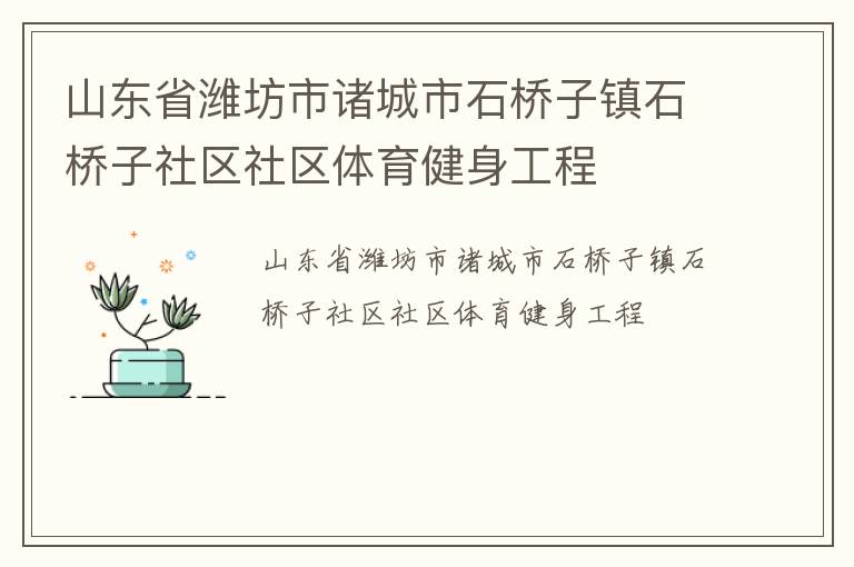 山東省濰坊市諸城市石橋子鎮(zhèn)石橋子社區(qū)社區(qū)體育健身工程