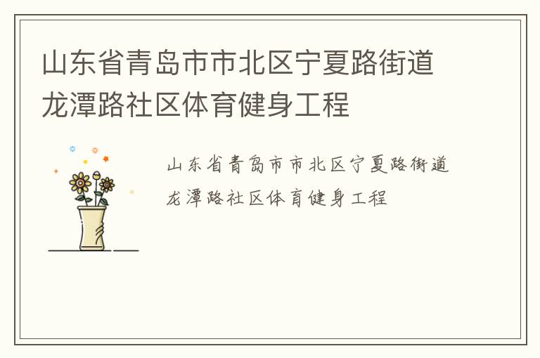 山東省青島市市北區(qū)寧夏路街道龍?zhí)堵飞鐓^(qū)體育健身工程