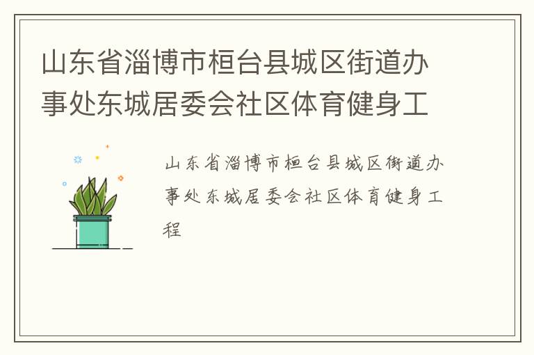 山東省淄博市桓臺縣城區(qū)街道辦事處東城居委會社區(qū)體育健身工程
