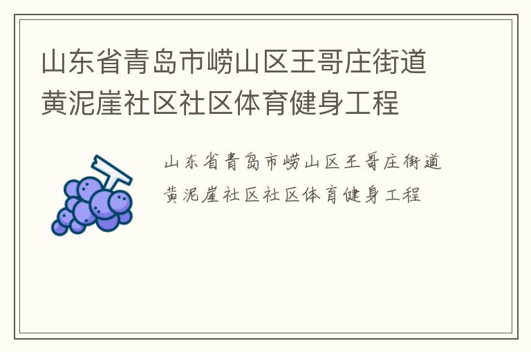 山東省青島市嶗山區(qū)王哥莊街道黃泥崖社區(qū)社區(qū)體育健身工程