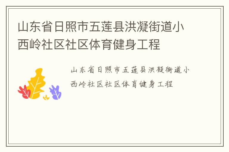 山東省日照市五蓮縣洪凝街道小西嶺社區(qū)社區(qū)體育健身工程