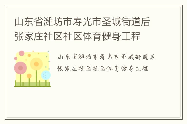 山東省濰坊市壽光市圣城街道后張家莊社區(qū)社區(qū)體育健身工程