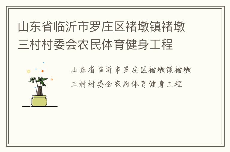 山東省臨沂市羅莊區(qū)褚墩鎮(zhèn)褚墩三村村委會(huì)農(nóng)民體育健身工程