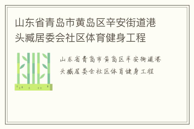 山東省青島市黃島區(qū)辛安街道港頭臧居委會(huì)社區(qū)體育健身工程
