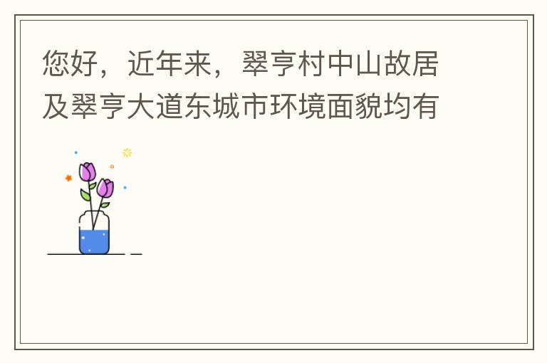 您好，近年來，翠亨村中山故居及翠亨大道東城市環(huán)境面貌均有所提升。但周邊環(huán)境仍然不夠理想，稍顯臟亂差，與5A風(fēng)景區(qū)的定位不相協(xié)調(diào)，望繼續(xù)盡快改善為宜。多謝