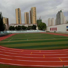 斯曼宇001 塑膠跑道 塑膠跑道廠家 塑膠跑道價格