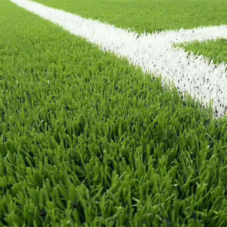 勝鑫 <a href=http://www.rkkor.cn target=_blank class=infotextkey>塑膠跑道</a>定制<a href=http://www.rkkor.cn target=_blank class=infotextkey>塑膠跑道</a>