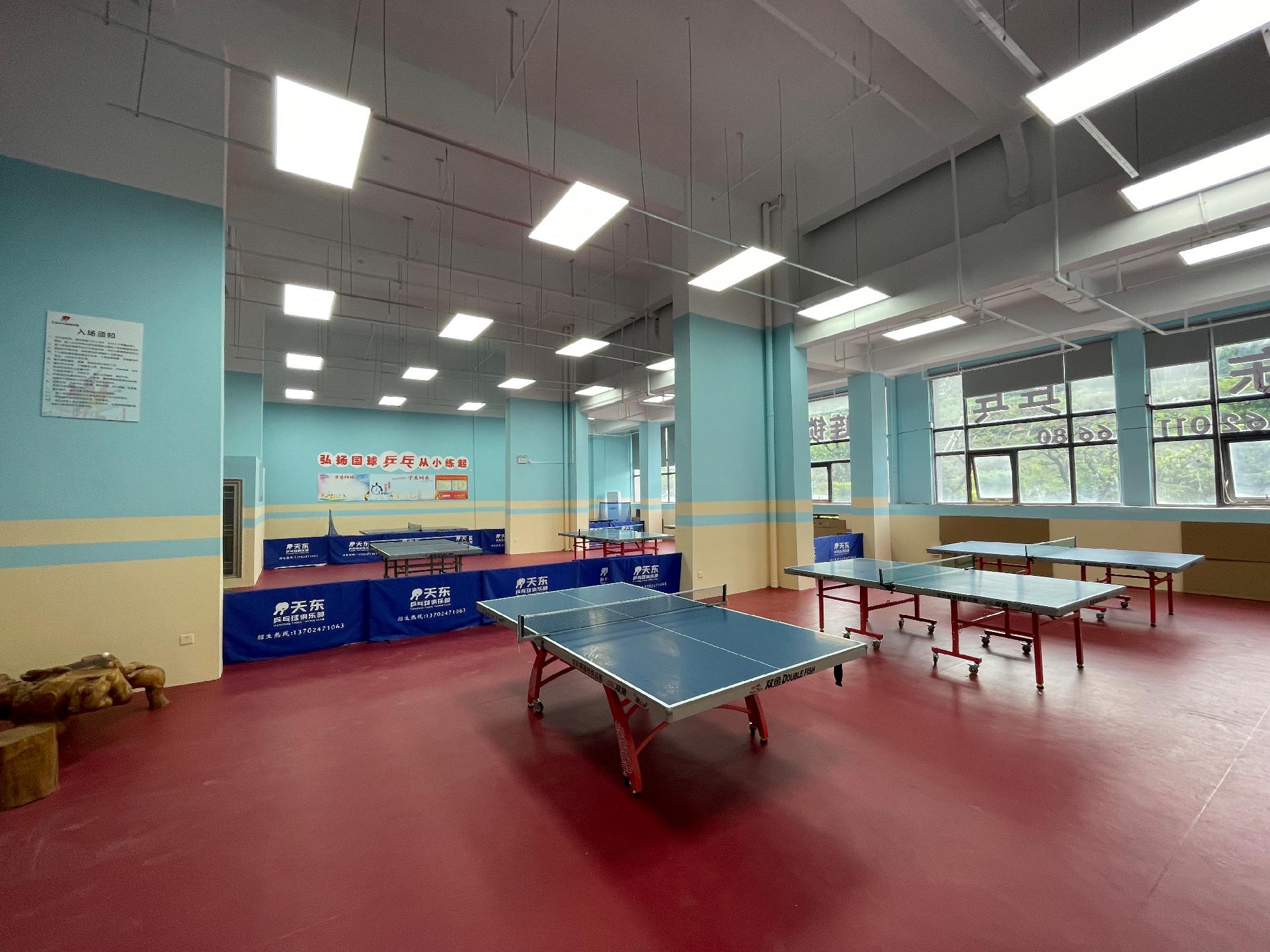 動量乒乓球館