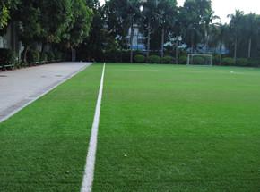 魚窩頭體育文化廣場(chǎng)足球場(chǎng)