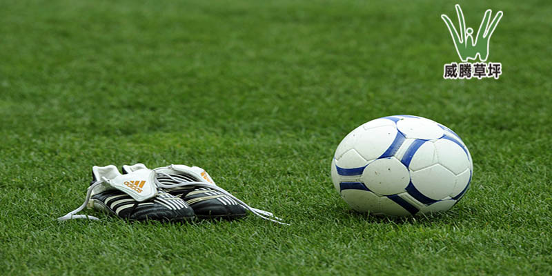 足球場人工草坪