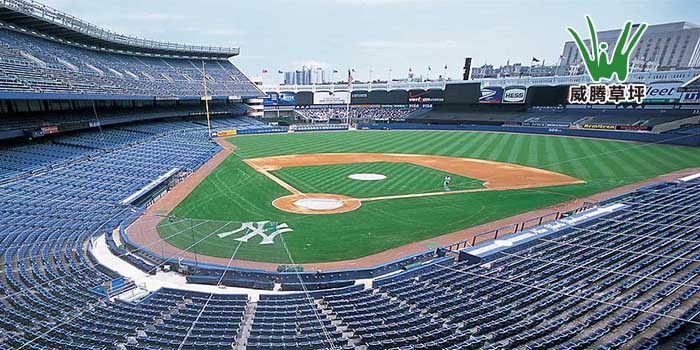 人造草坪棒球場(chǎng)