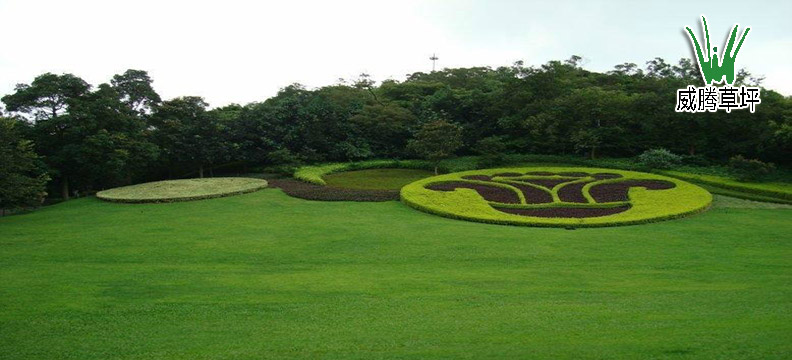 人造草坪園林綠化