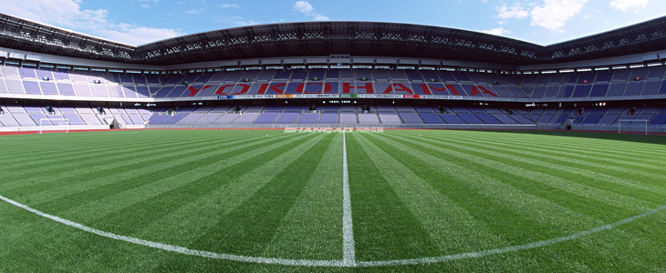 人造草訓練場使用草