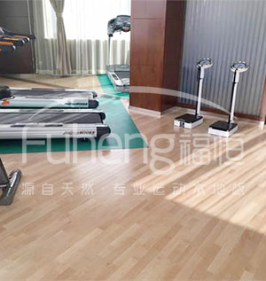 健身房木地板|健身房木地板價(jià)格|健身房專(zhuān)用木地板