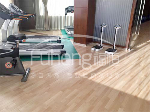 <a href=http://www.rkkor.cn target=_blank class=infotextkey>健身</a>房木地板-10fd