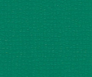 博格休閑純色(綠)