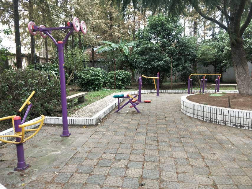 五一居委健身點A