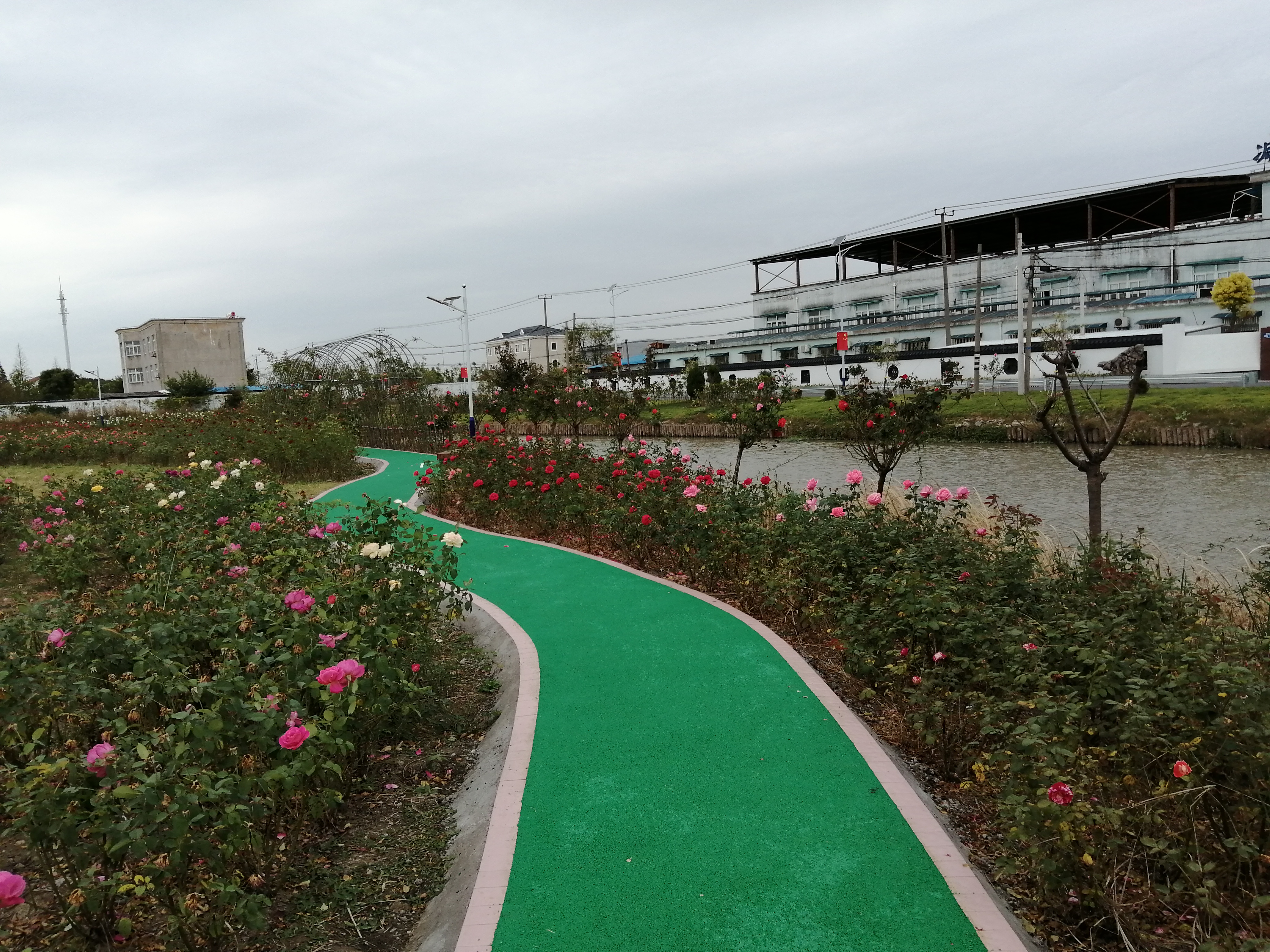 塔橋月季文化園市民健身步道