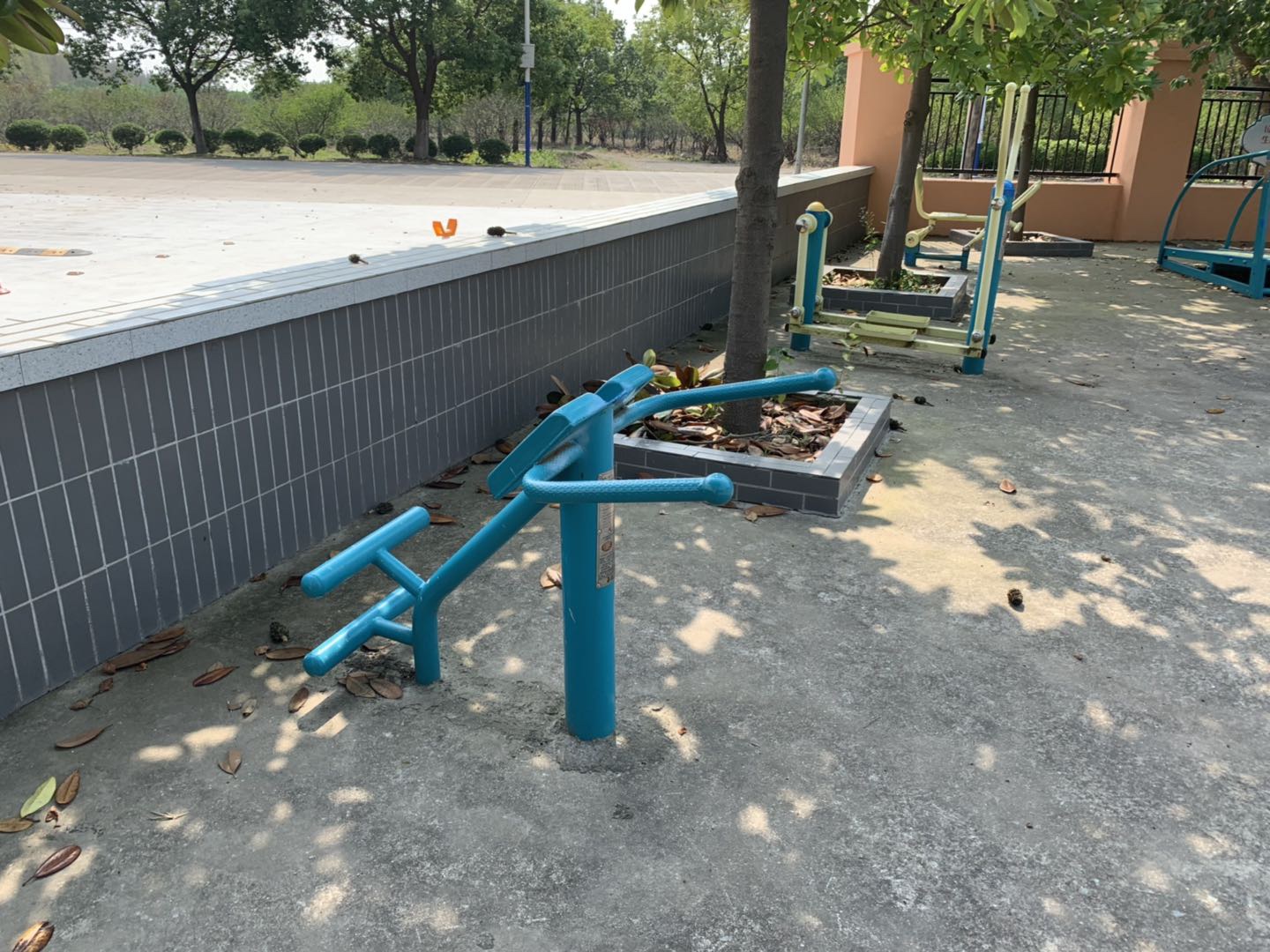 背肌訓(xùn)練器