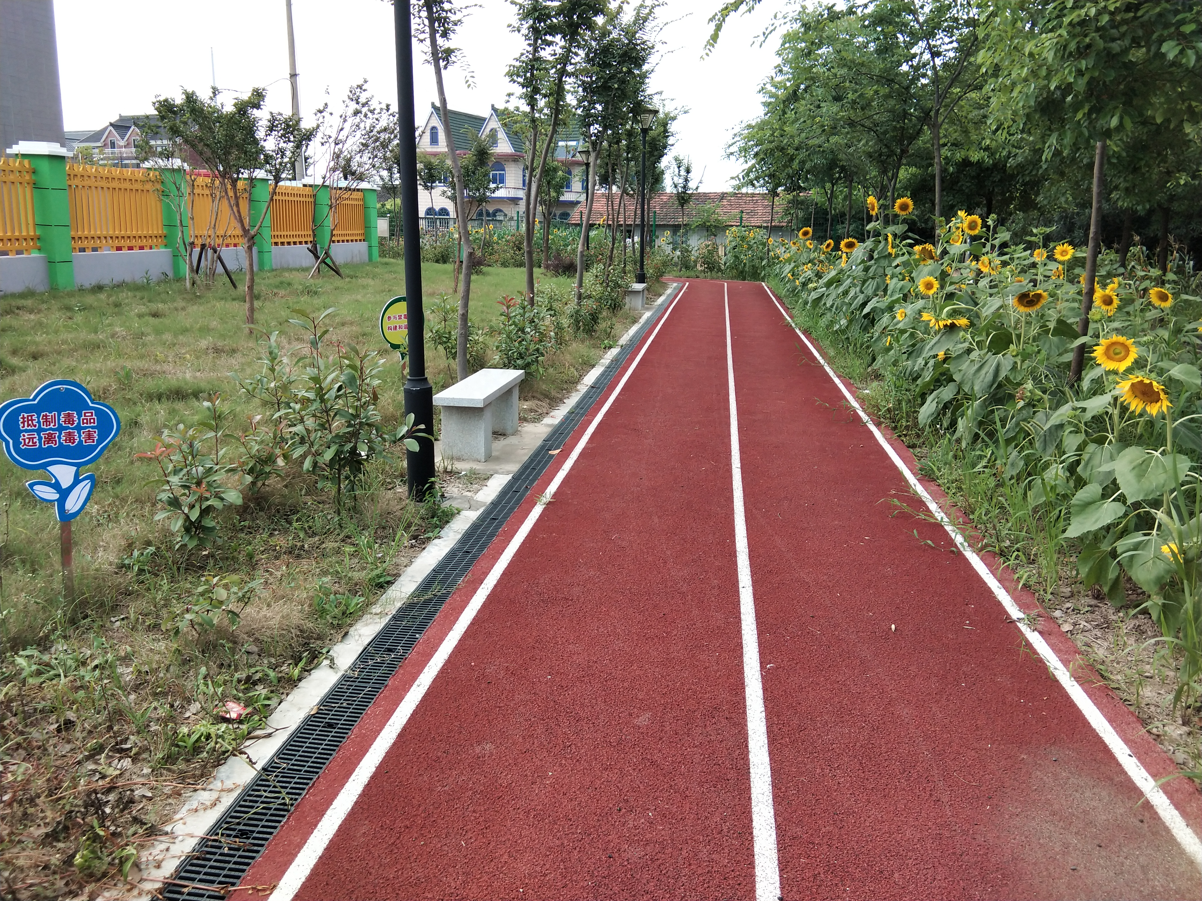 四團(tuán)鎮(zhèn)向陽村市民健身步道