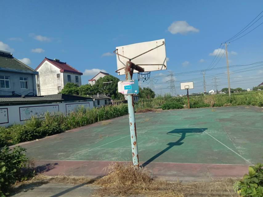 馬橋鎮(zhèn)金星村門球場