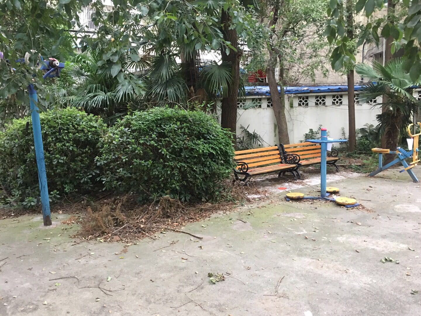 豐西社區(qū)健身苑點（5）