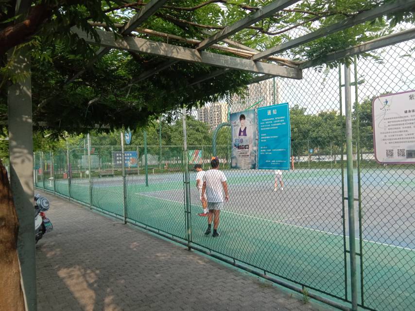 紫氣東來(lái)運(yùn)動(dòng)場(chǎng)