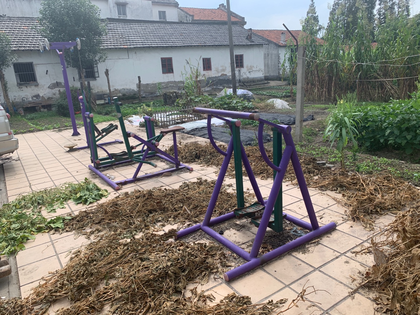 新源村1、2隊