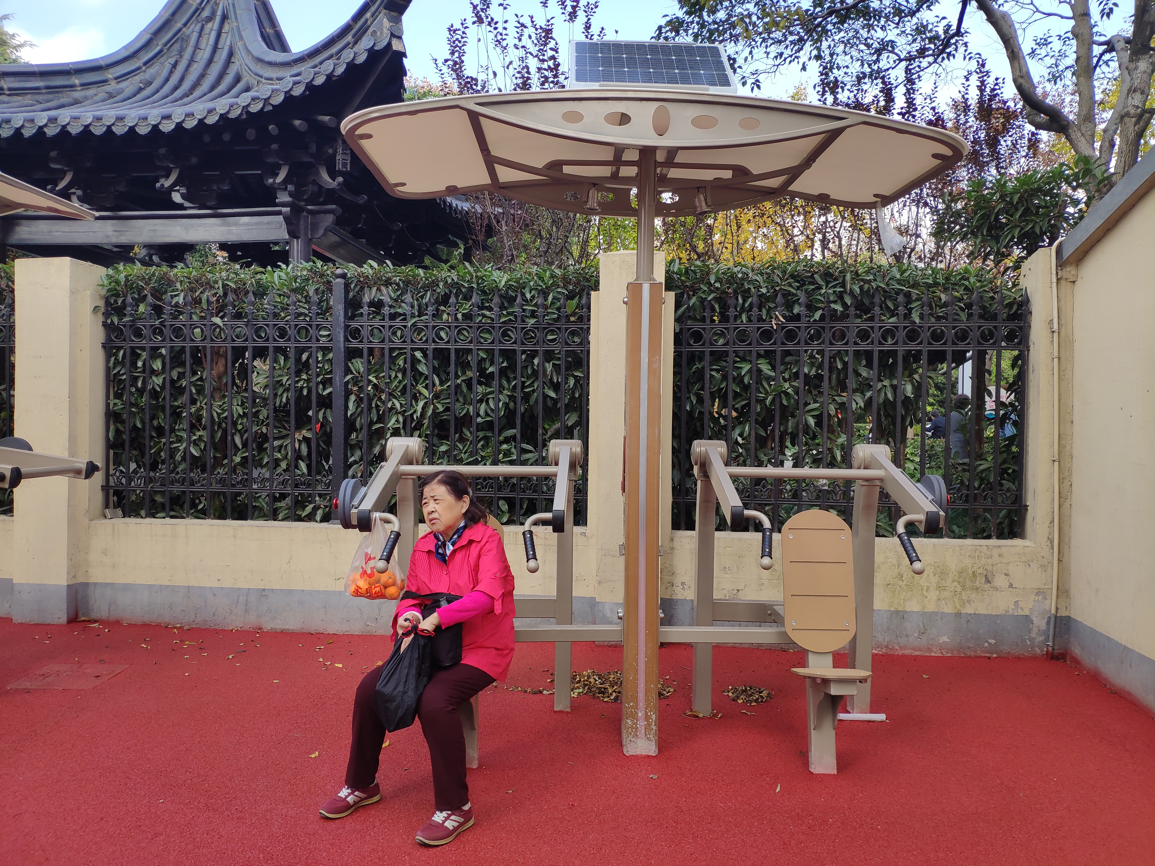 雙位推舉訓(xùn)練器