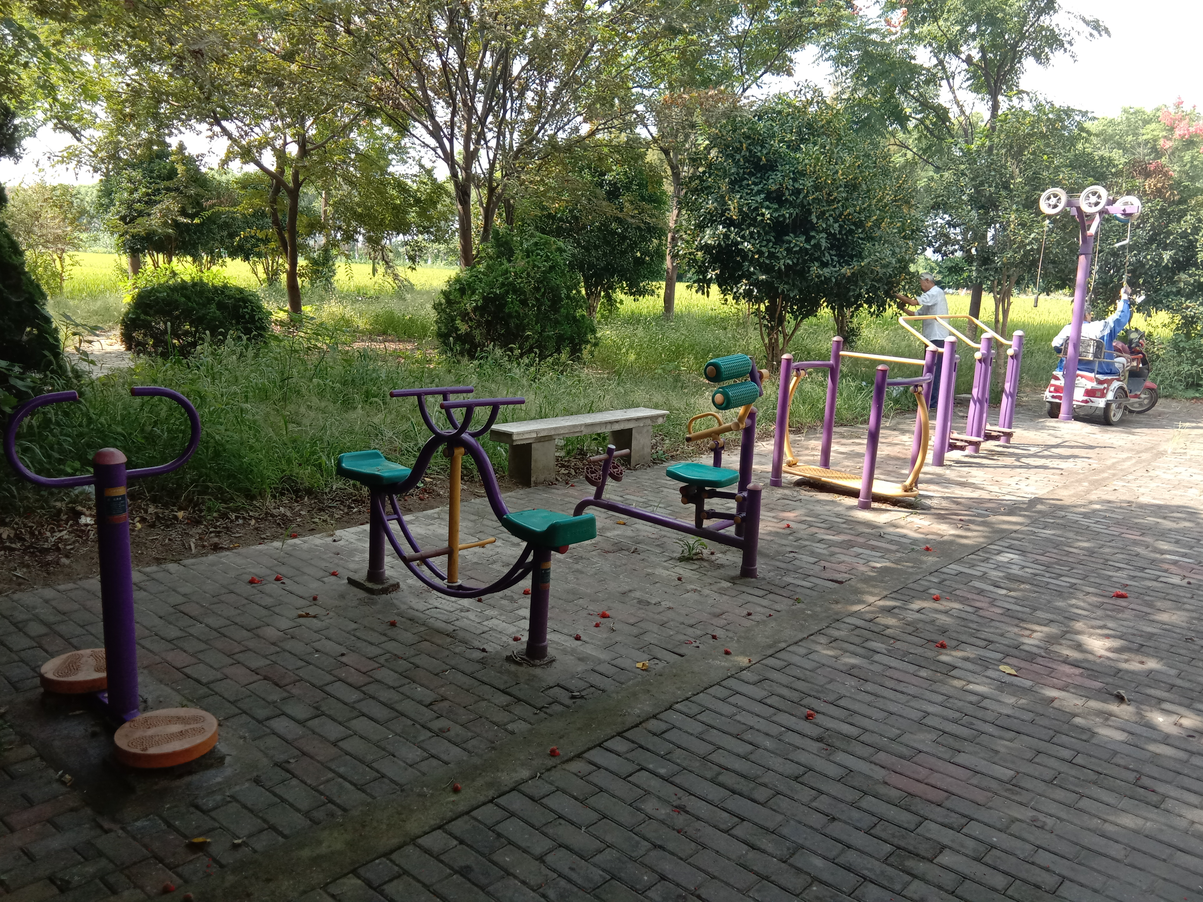 新浜村高家埭健身點(diǎn)