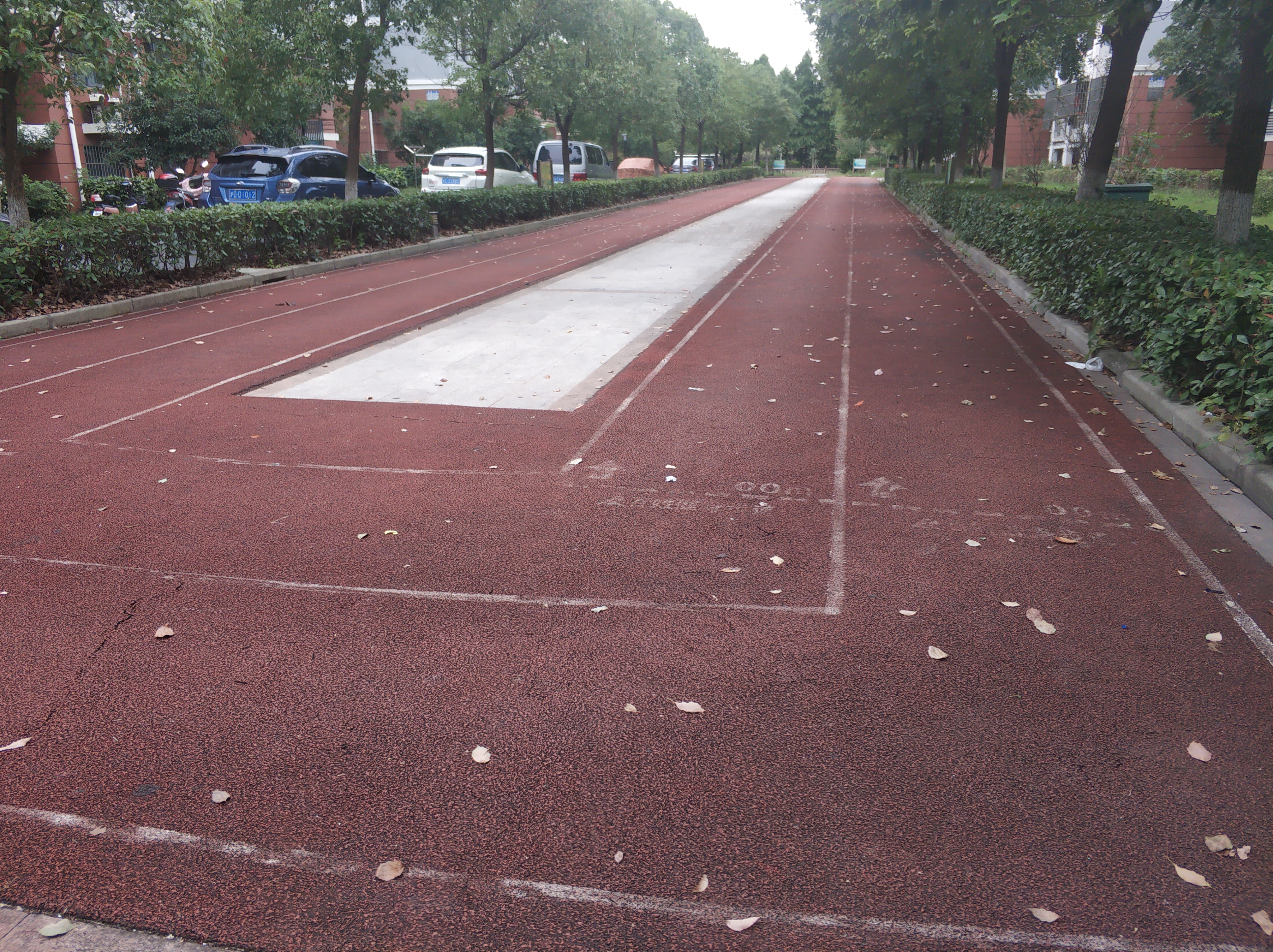 阮巷村市民健身步道