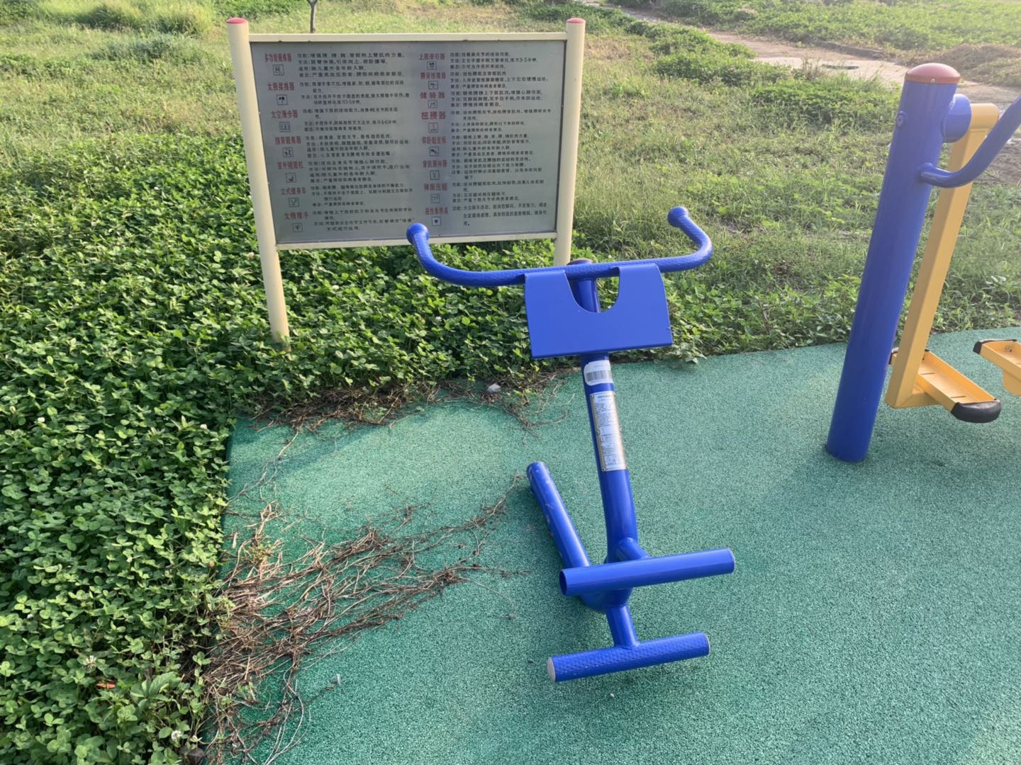 背肌/腹肌訓(xùn)練器