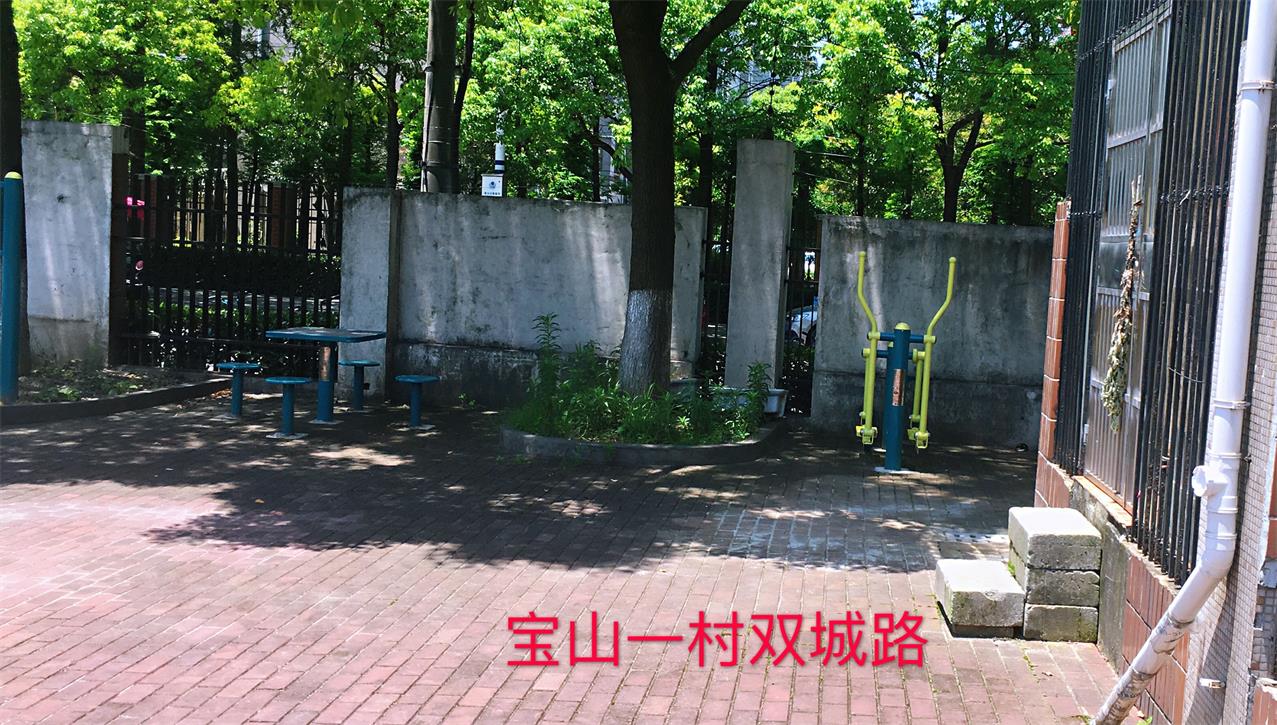 寶山一村健身點(diǎn)    3
