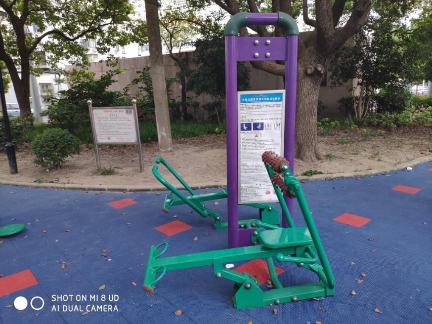 腹背屈伸/劃船訓練器