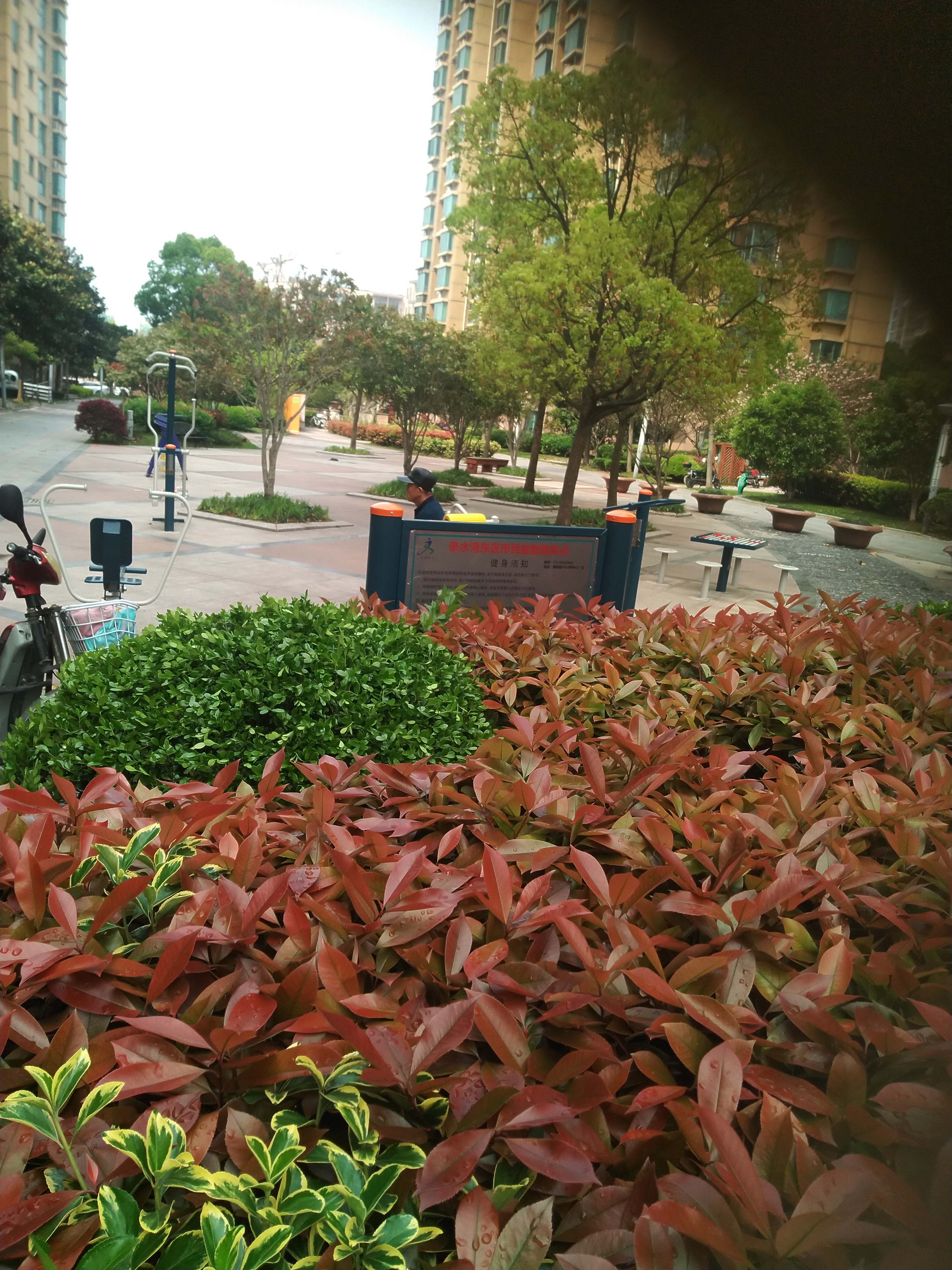 清水灣東區(qū)市民益智健身點(diǎn)