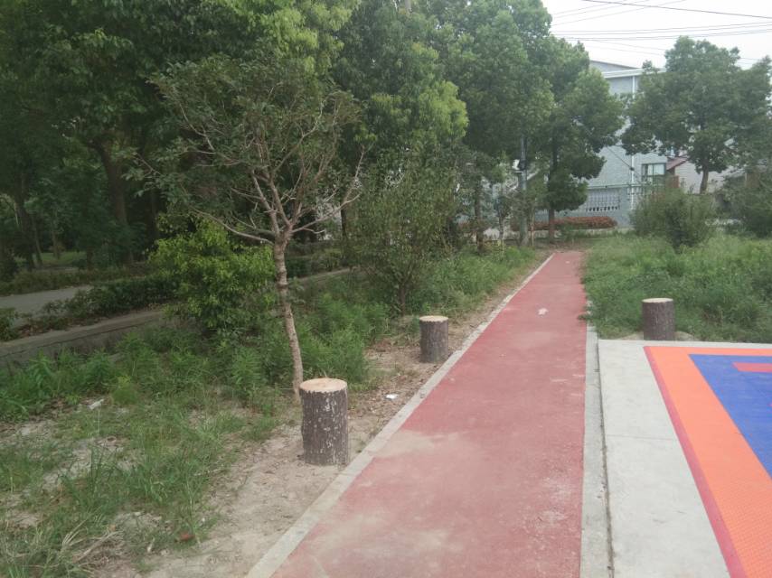 公共運(yùn)動(dòng)場