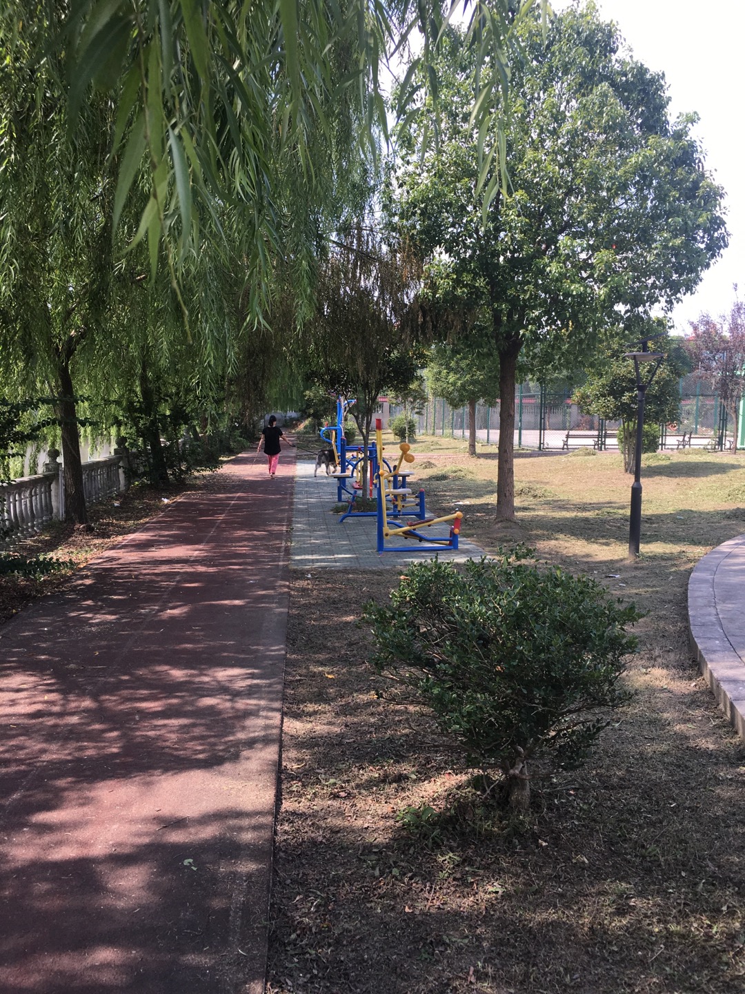 陳家小區(qū)健身點(diǎn)