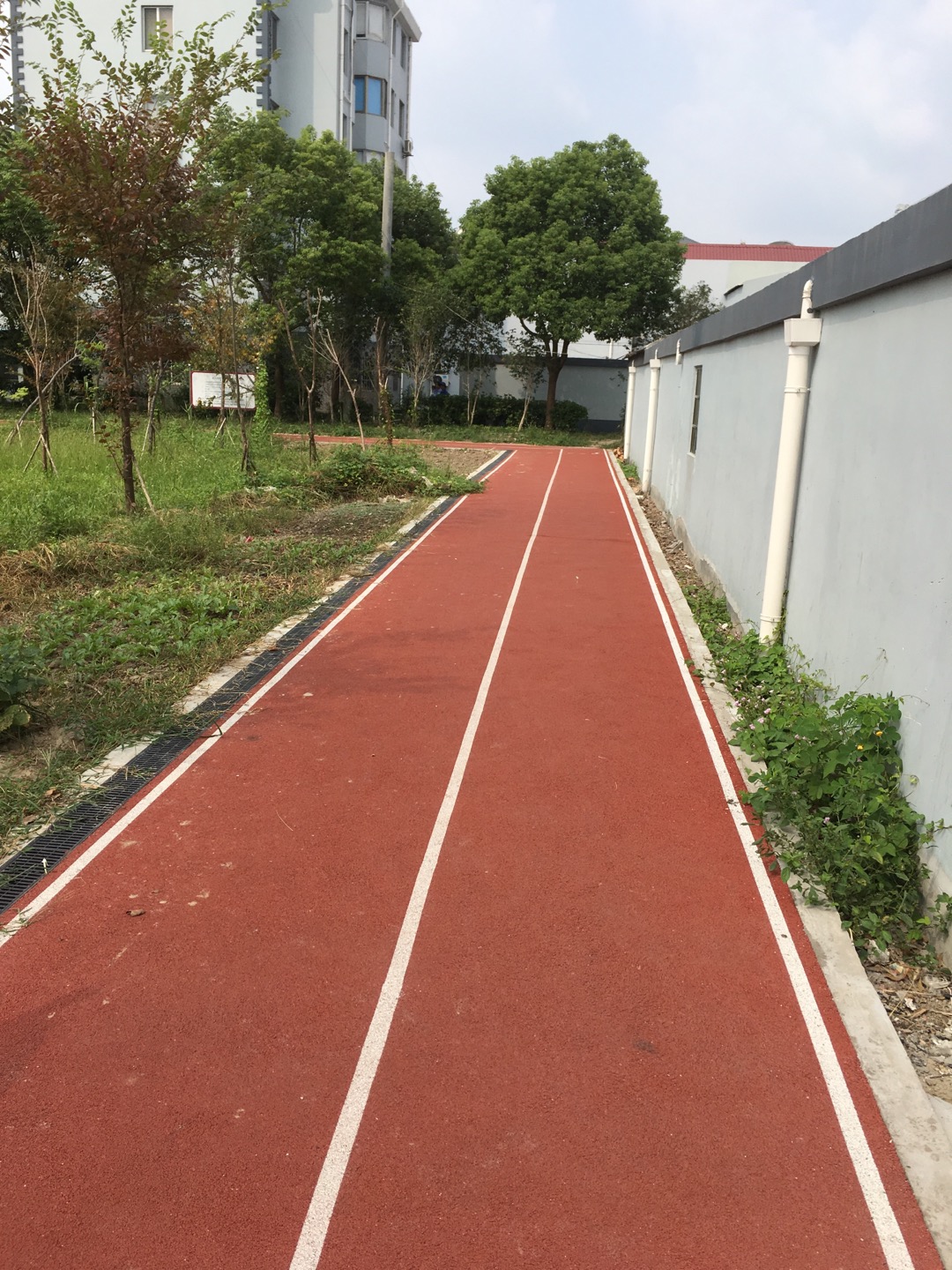 泖港鎮(zhèn)格林小區(qū)市民健身步道