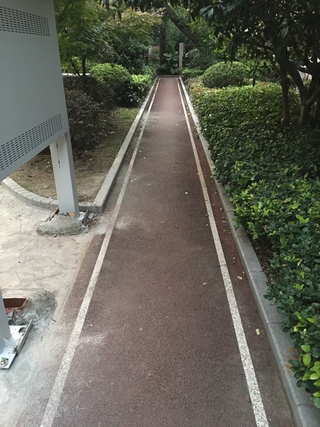 天山二村百姓健身步道