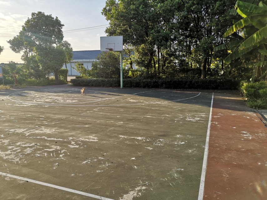 建農(nóng)村籃球場
