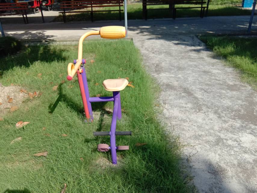 腹背訓(xùn)練器