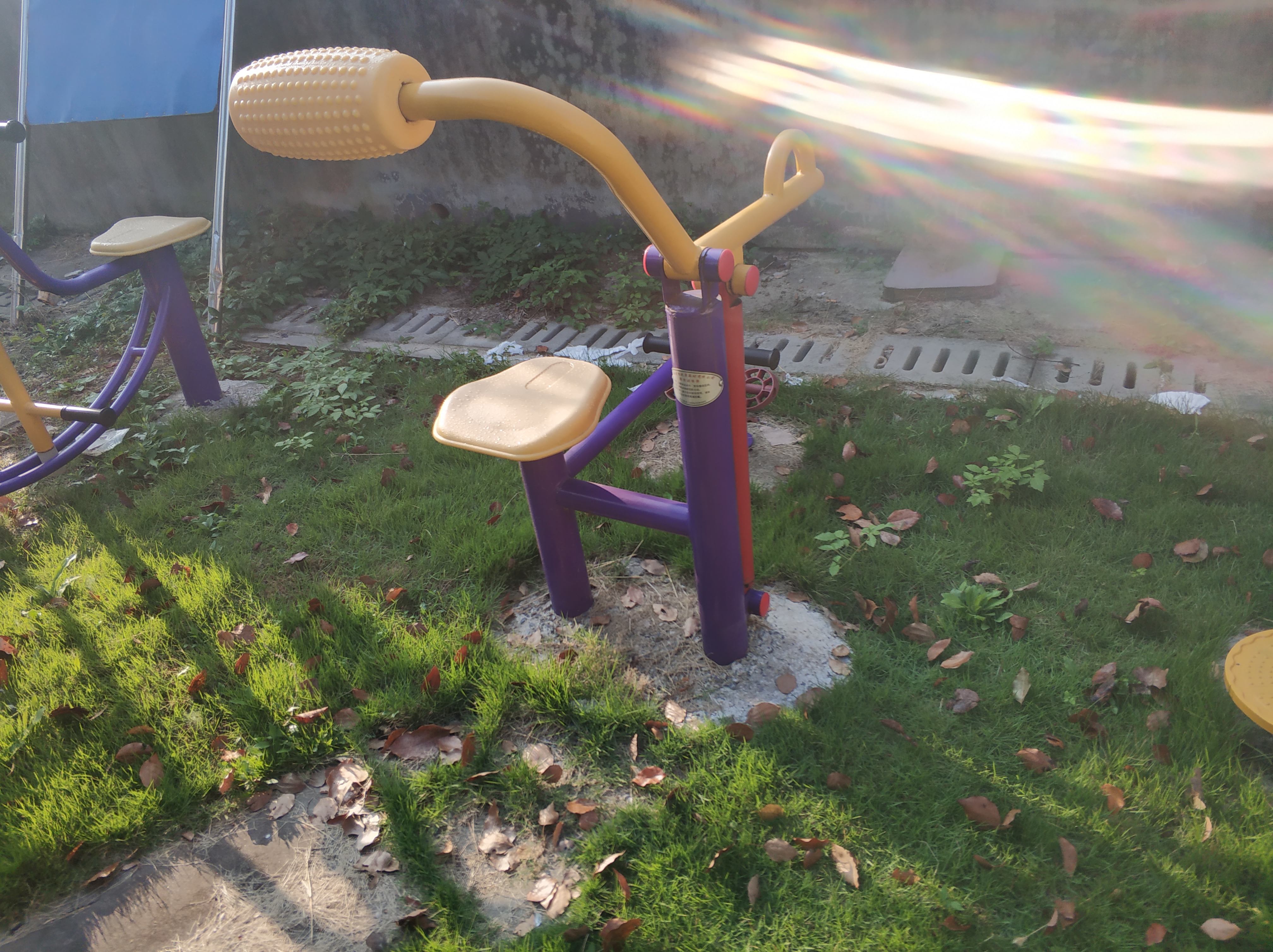 腹背訓(xùn)練器